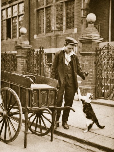 Un homme à la viande de chat tenant de la viande pour un chat - English Photographer